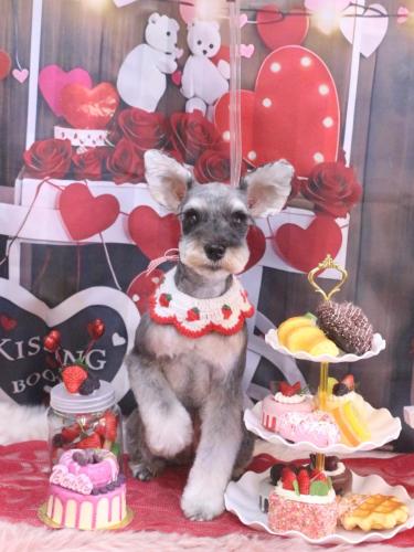 20250225むぎちゃん